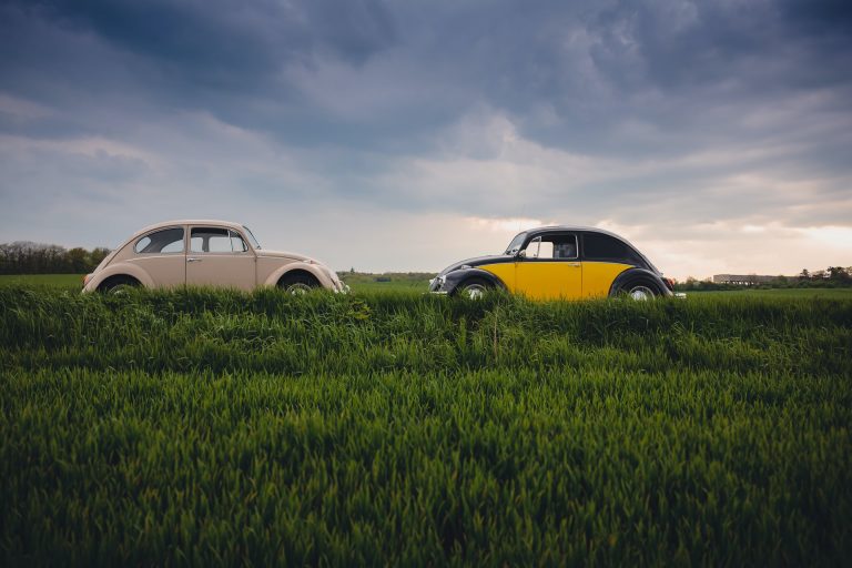 Term Life Insurance vs Whole Life Insurance: Which One Should You Get?